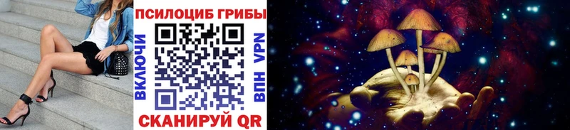 Псилоцибиновые грибы ЛСД  где купить   KRAKEN   Апрелевка 