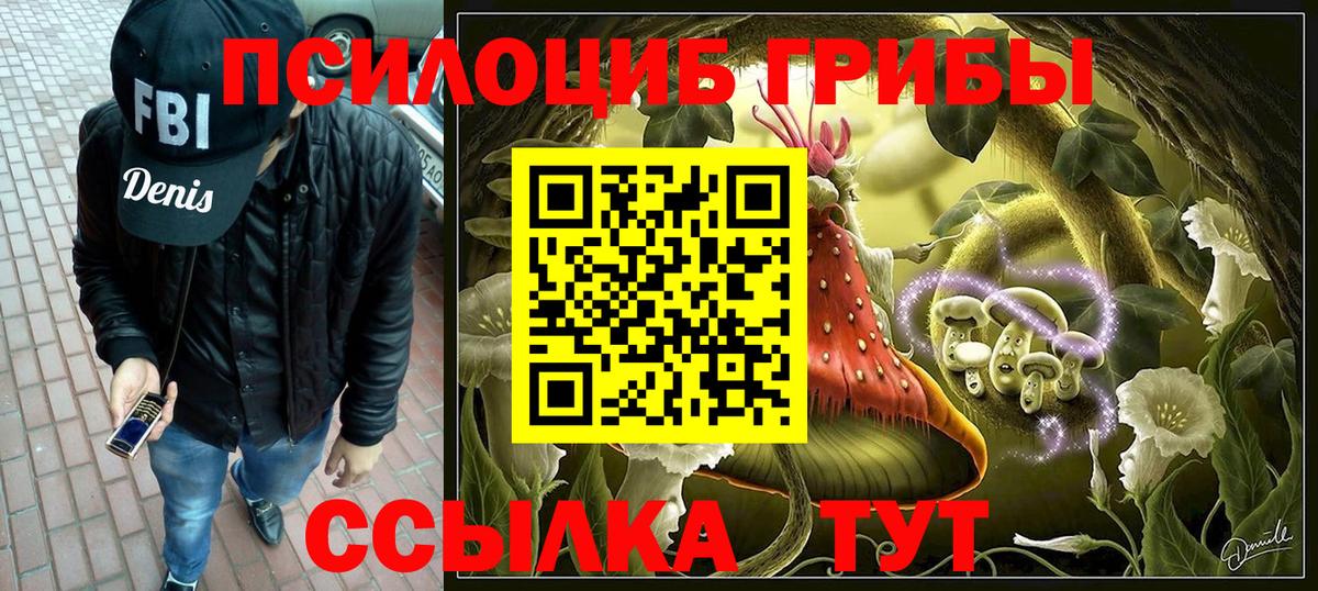 Галлюциногенные грибы Psilocybe Апрелевка