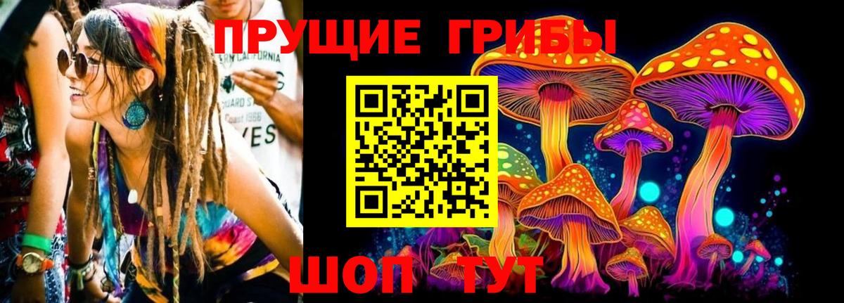 что такое   Вход с VPN  Апрелевка  Псилоцибиновые грибы GOLDEN TEACHER 