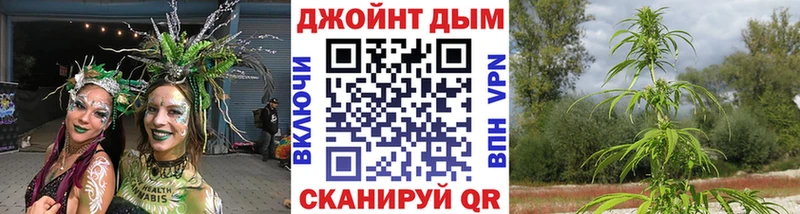 Бошки Шишки семена Апрелевка